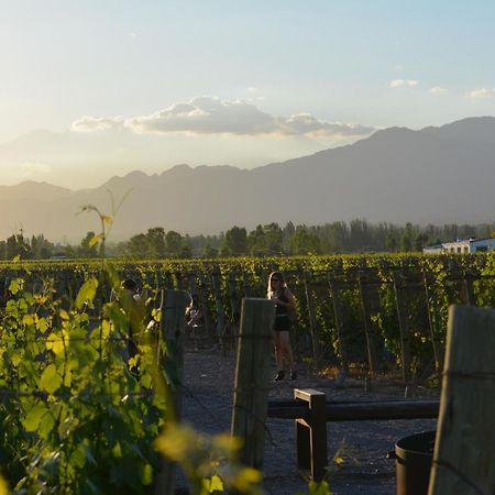 Viamonte Winery Lodge ชากราส เด โกเรีย ภายนอก รูปภาพ