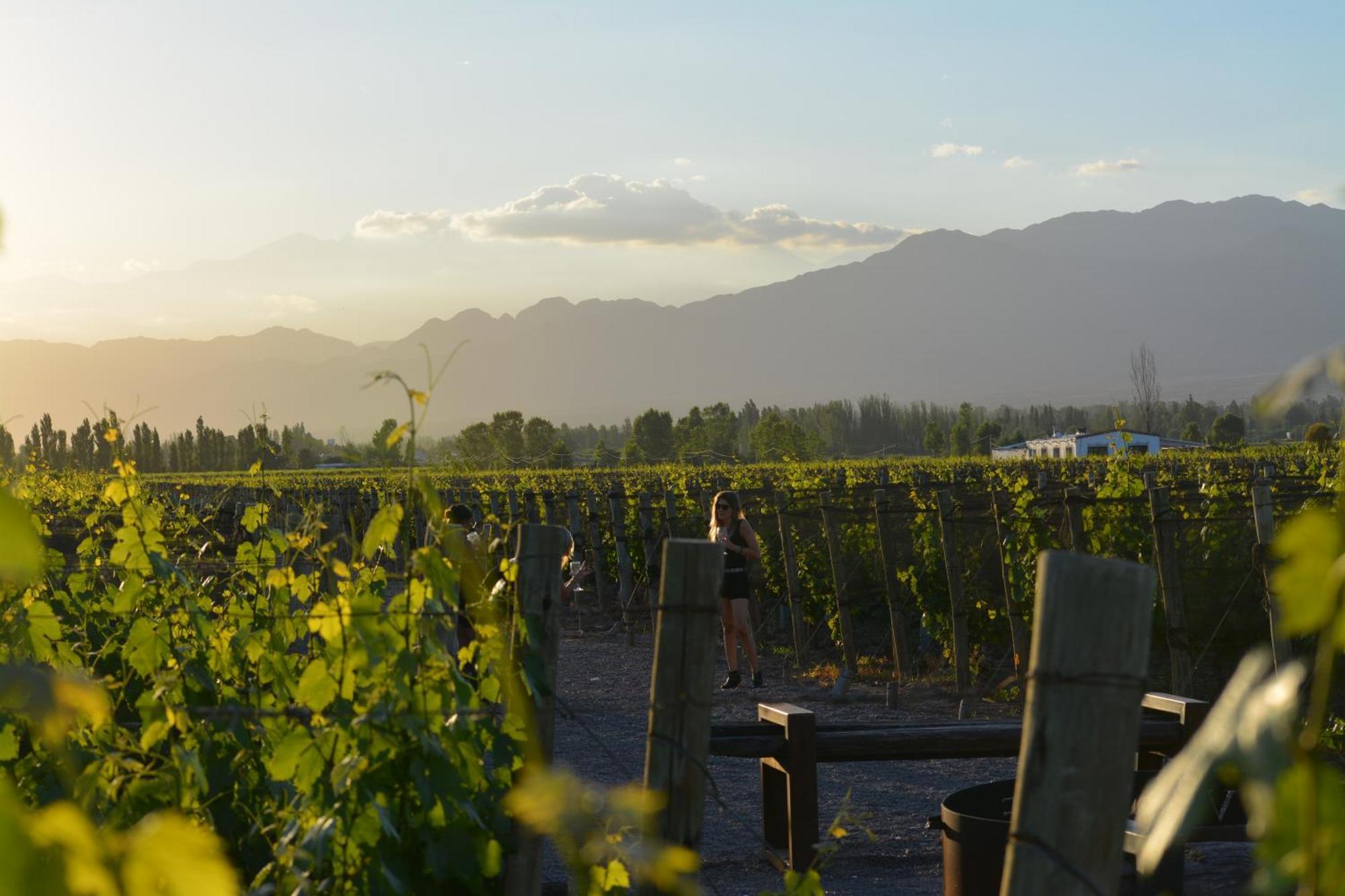 Viamonte Winery Lodge ชากราส เด โกเรีย ภายนอก รูปภาพ